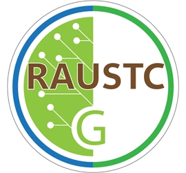 Cải Thìa / Bok Choy